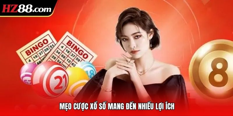 tổng quát về mẹo cược xổ số tại hz88 tổng quát về mẹo cược xổ số tại hz88